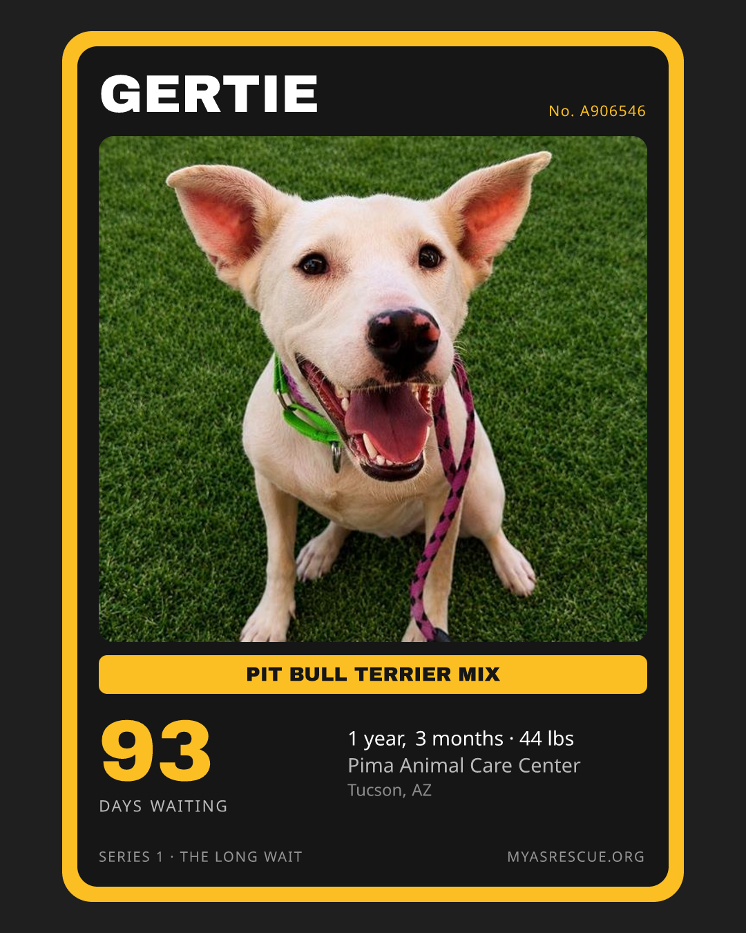 Gertie’s trading card, front