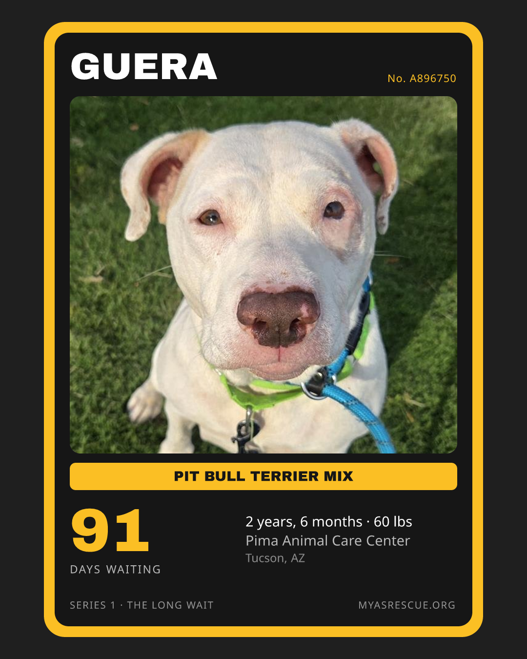 Guera’s trading card, front