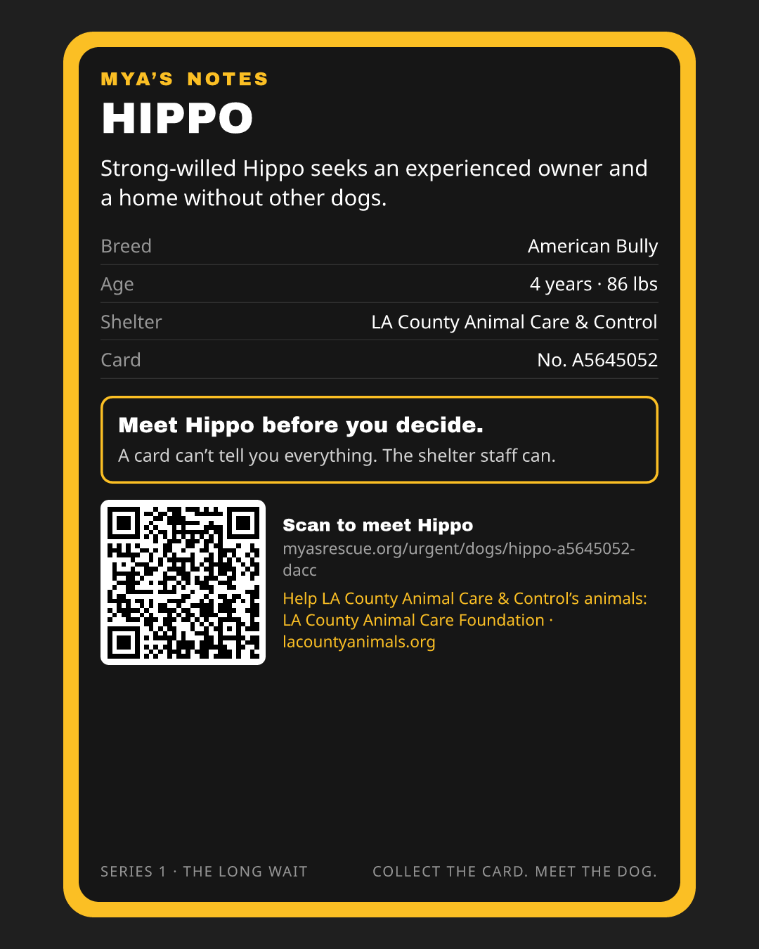 Hippo’s trading card, back