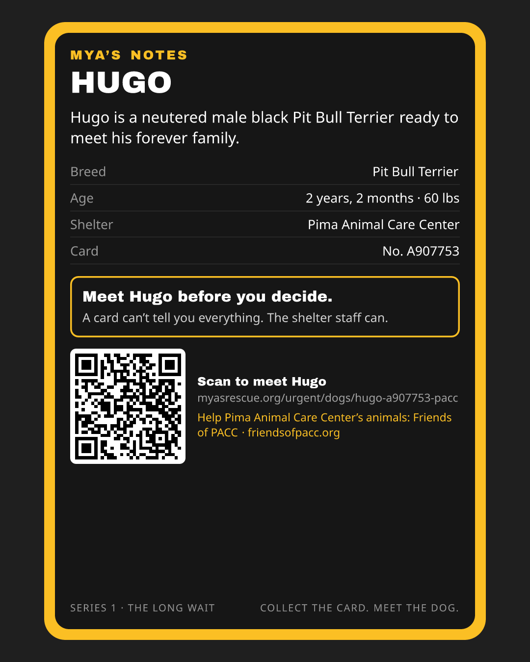 Hugo’s trading card, back