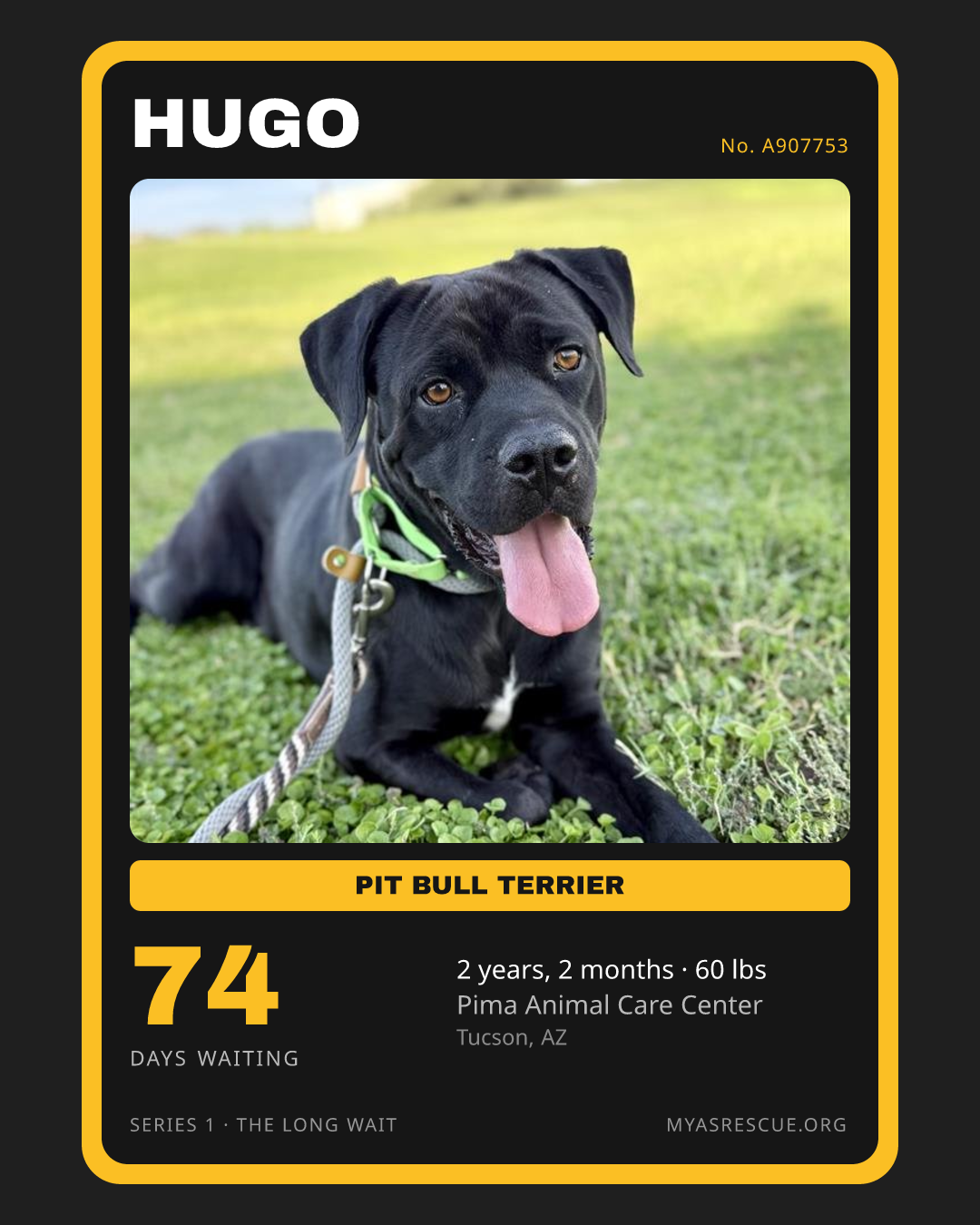 Hugo’s trading card, front