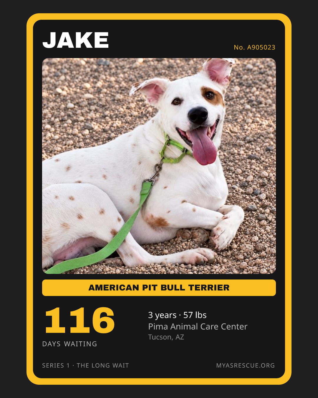 Jake’s trading card, front
