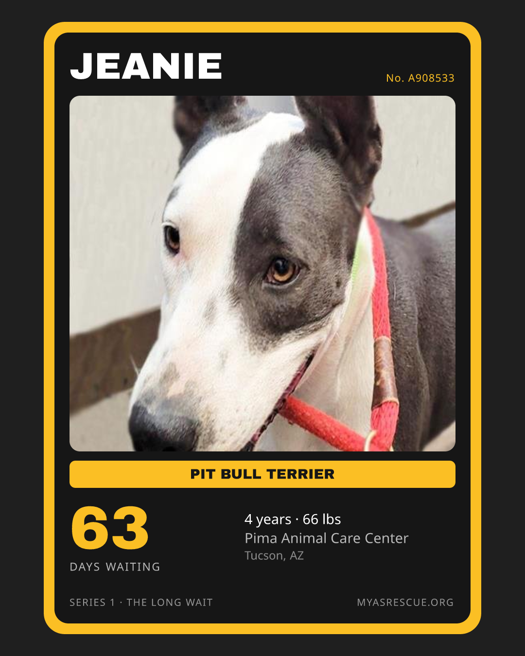 Jeanie’s trading card, front
