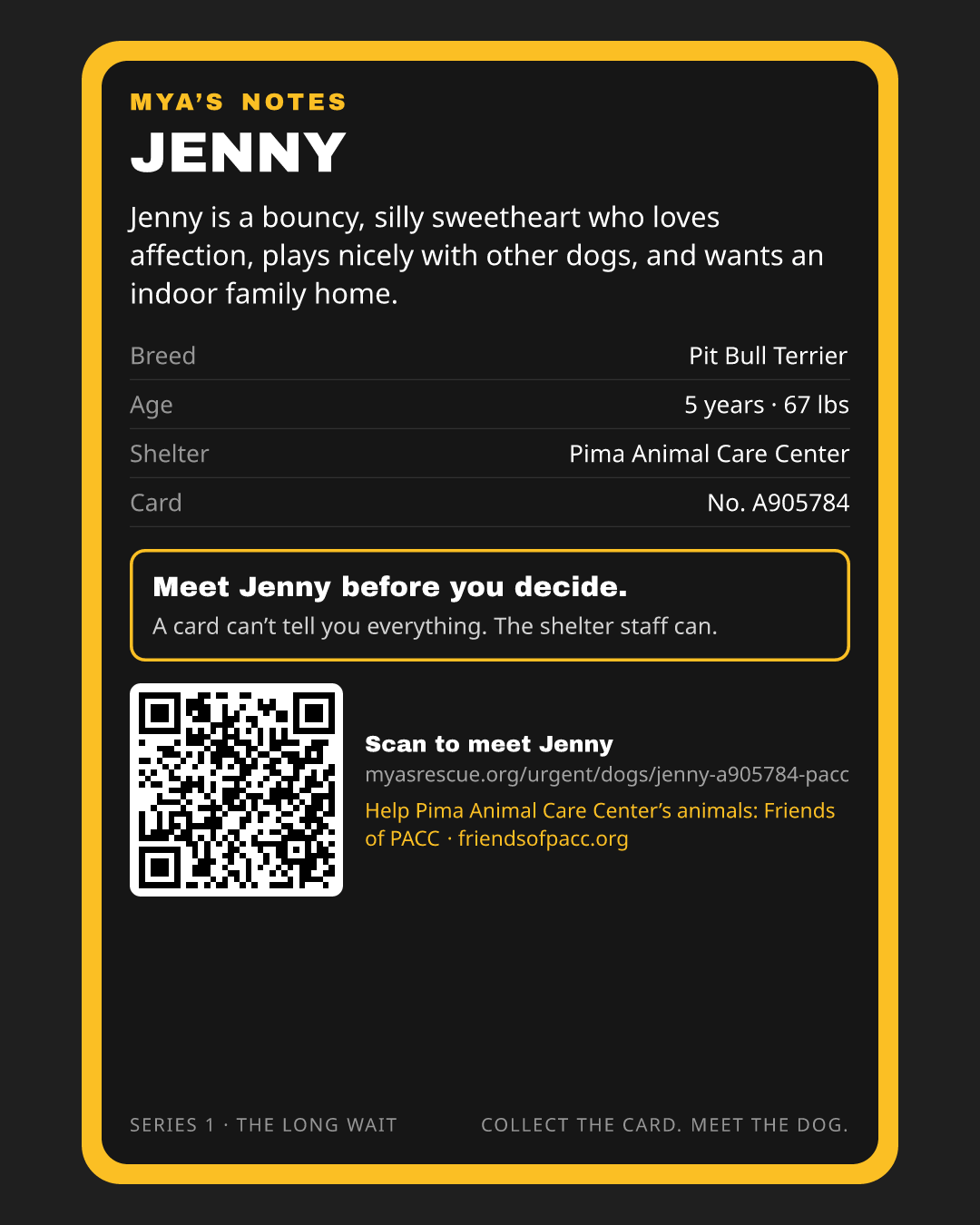 Jenny’s trading card, back