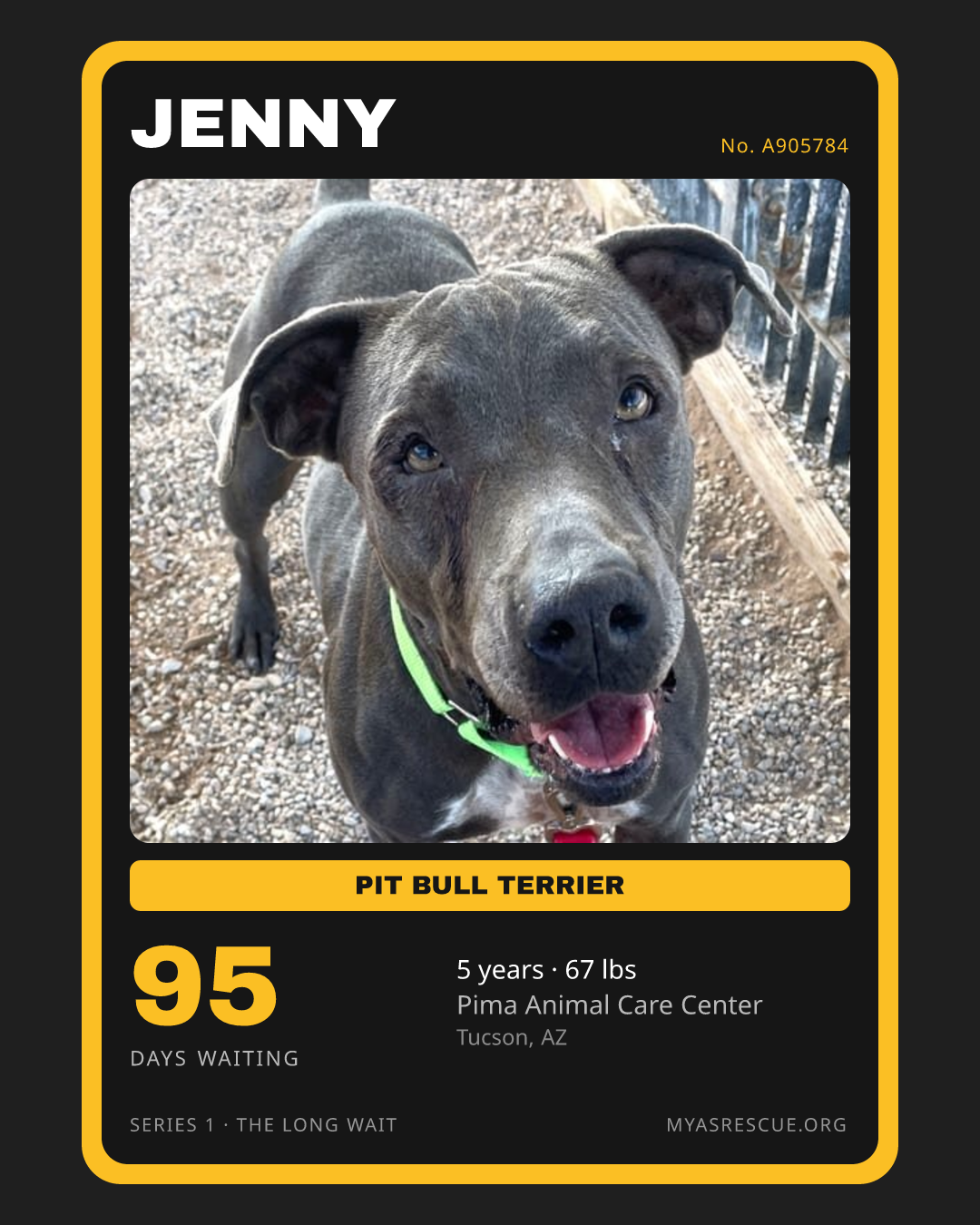 Jenny’s trading card, front