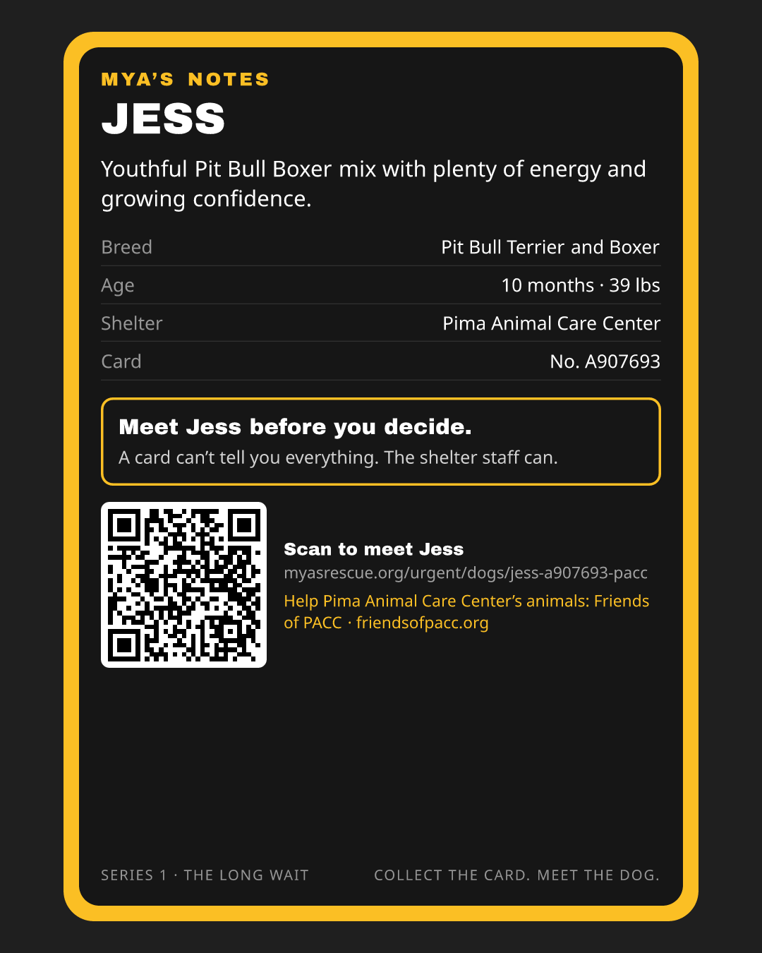 Jess’s trading card, back