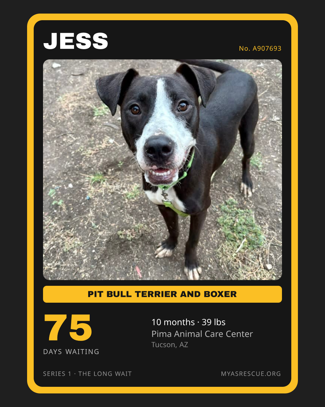 Jess’s trading card, front