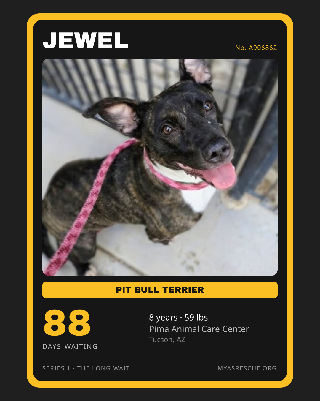 Jewel’s trading card, front