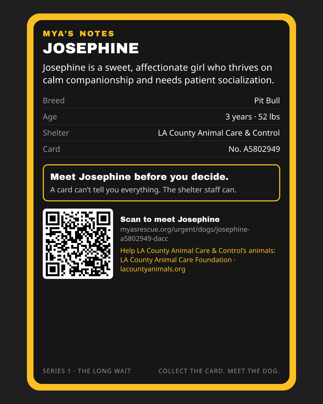 Josephine’s trading card, back