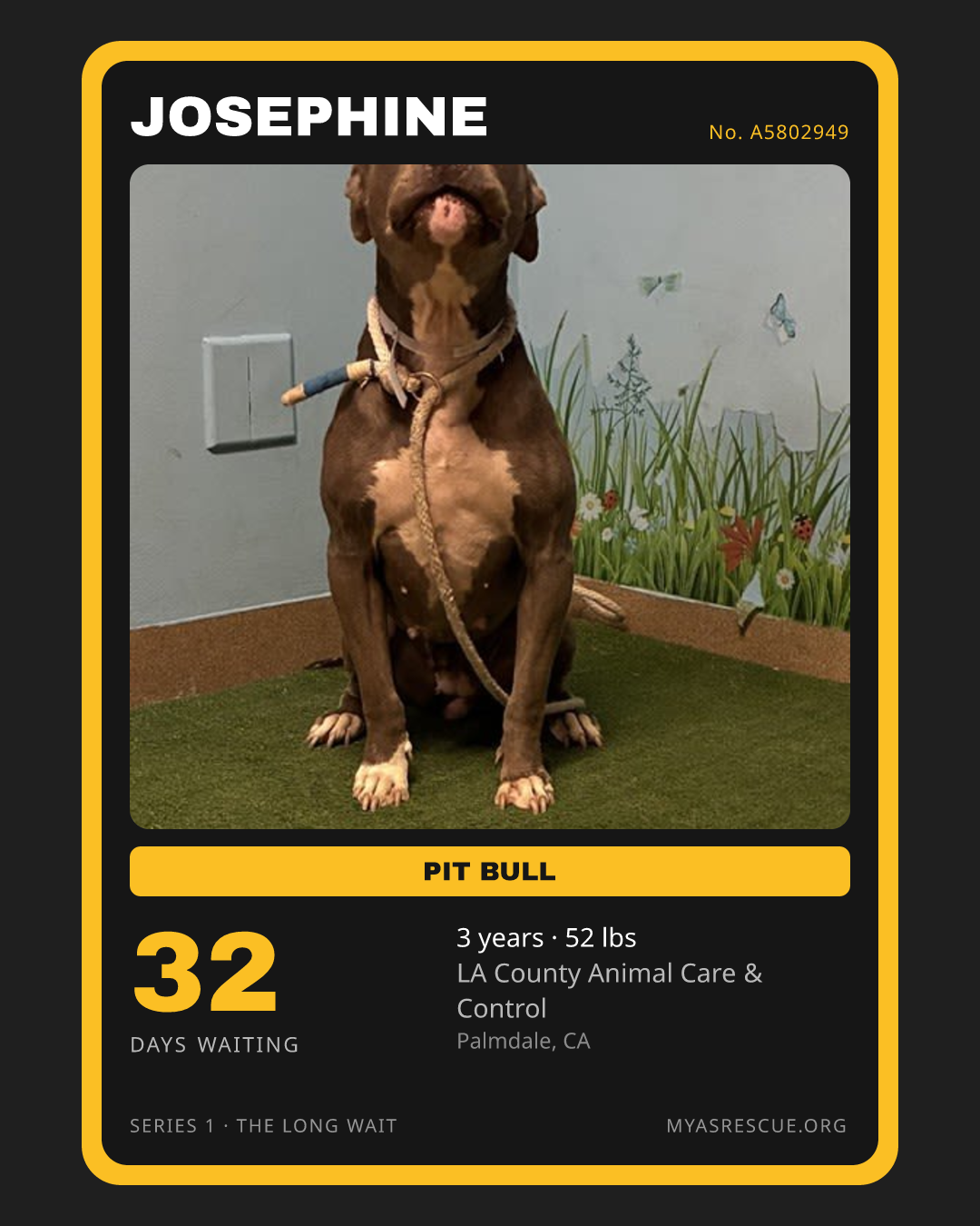 Josephine’s trading card, front