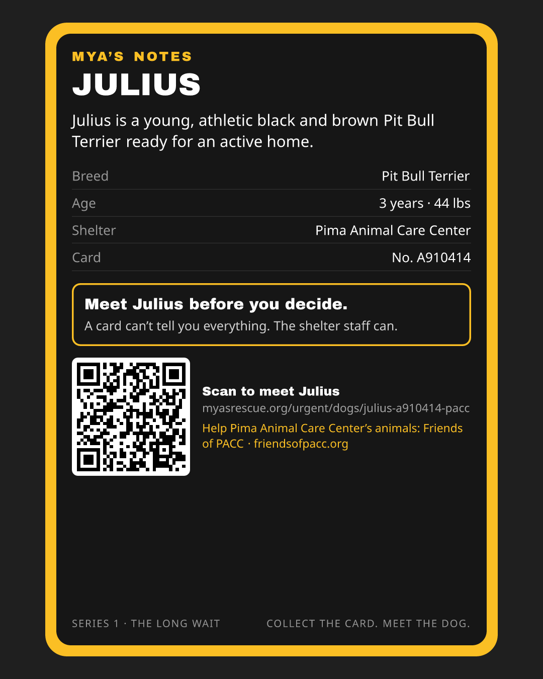 Julius’s trading card, back