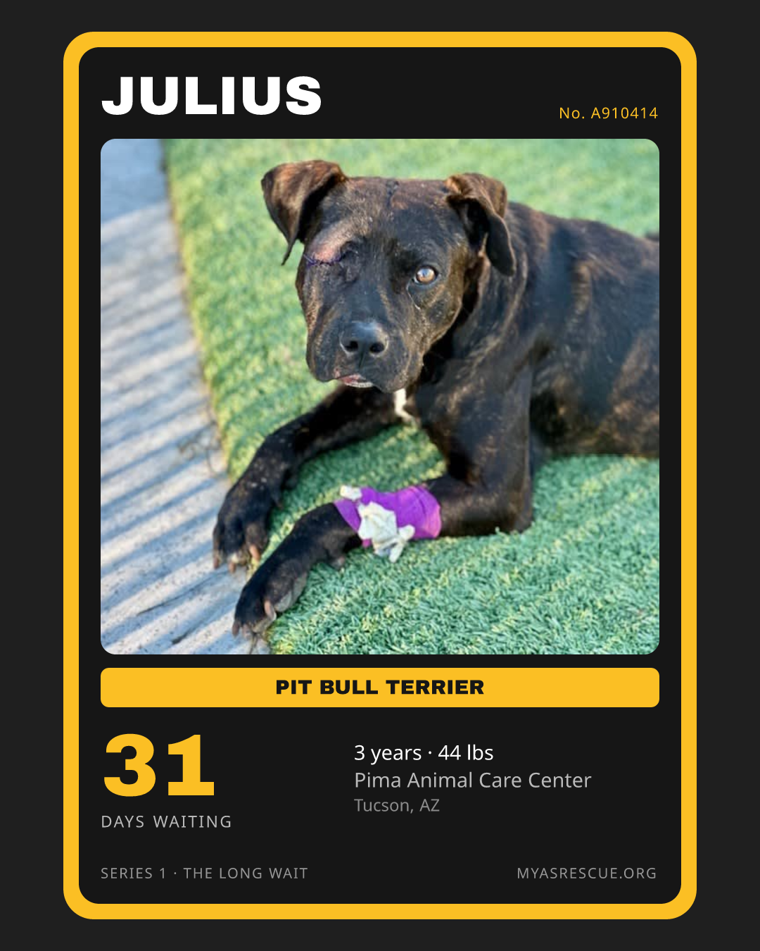 Julius’s trading card, front