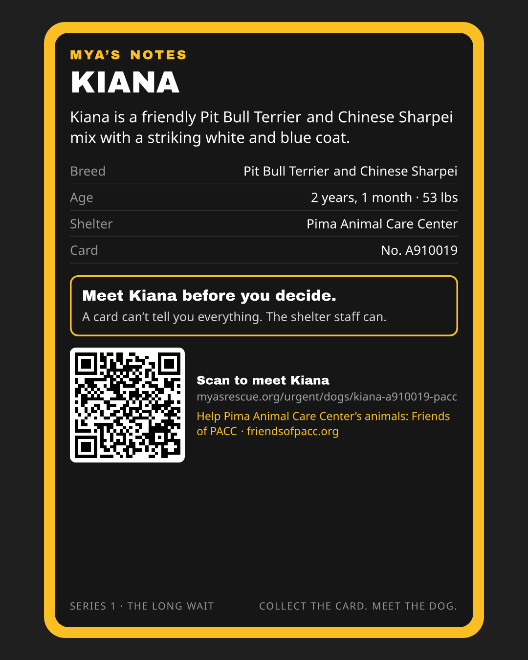 Kiana’s trading card, back