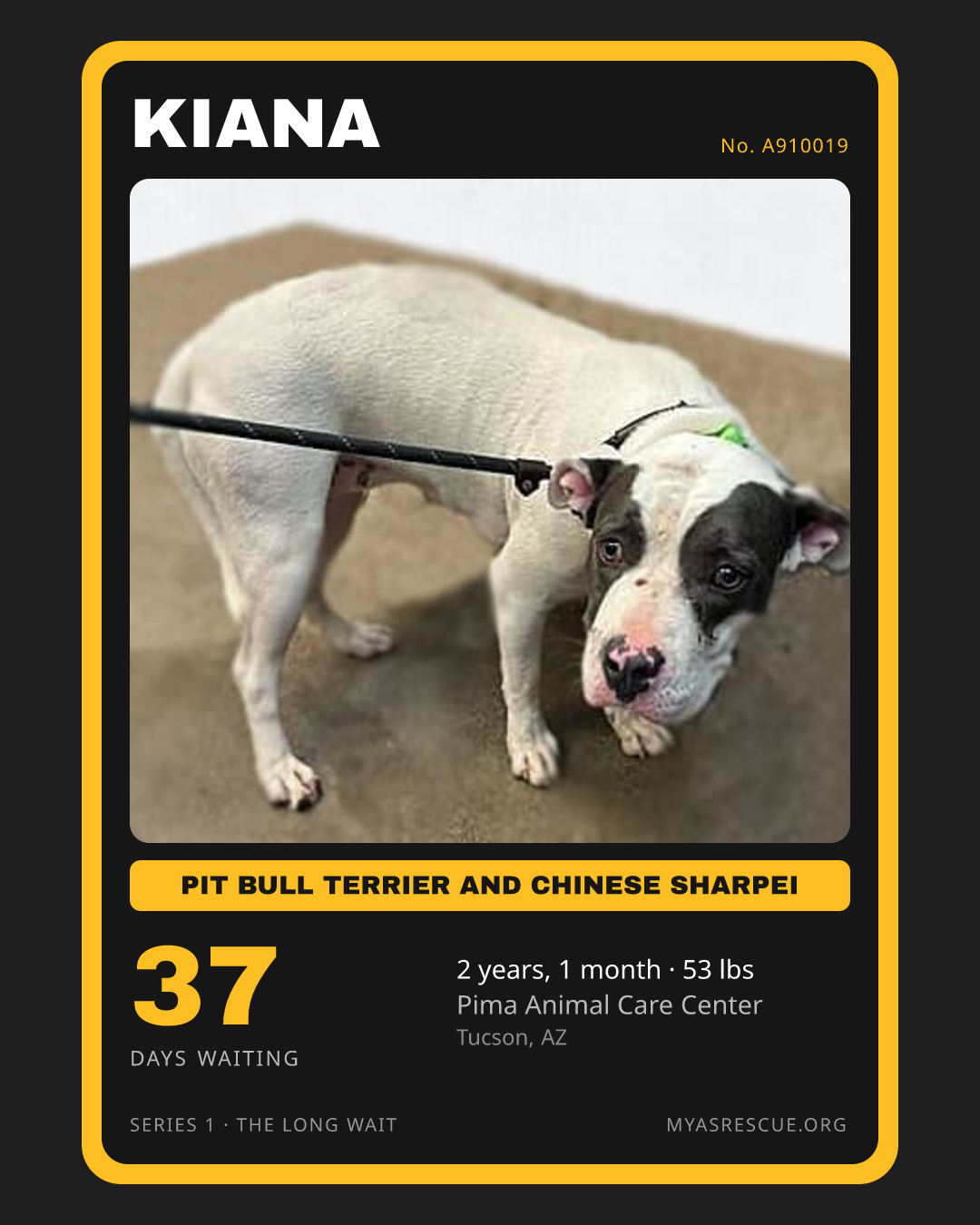 Kiana’s trading card, front