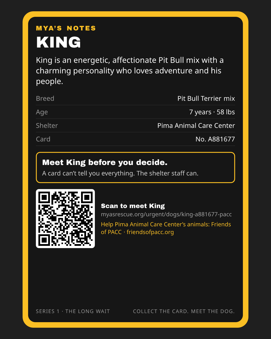King’s trading card, back