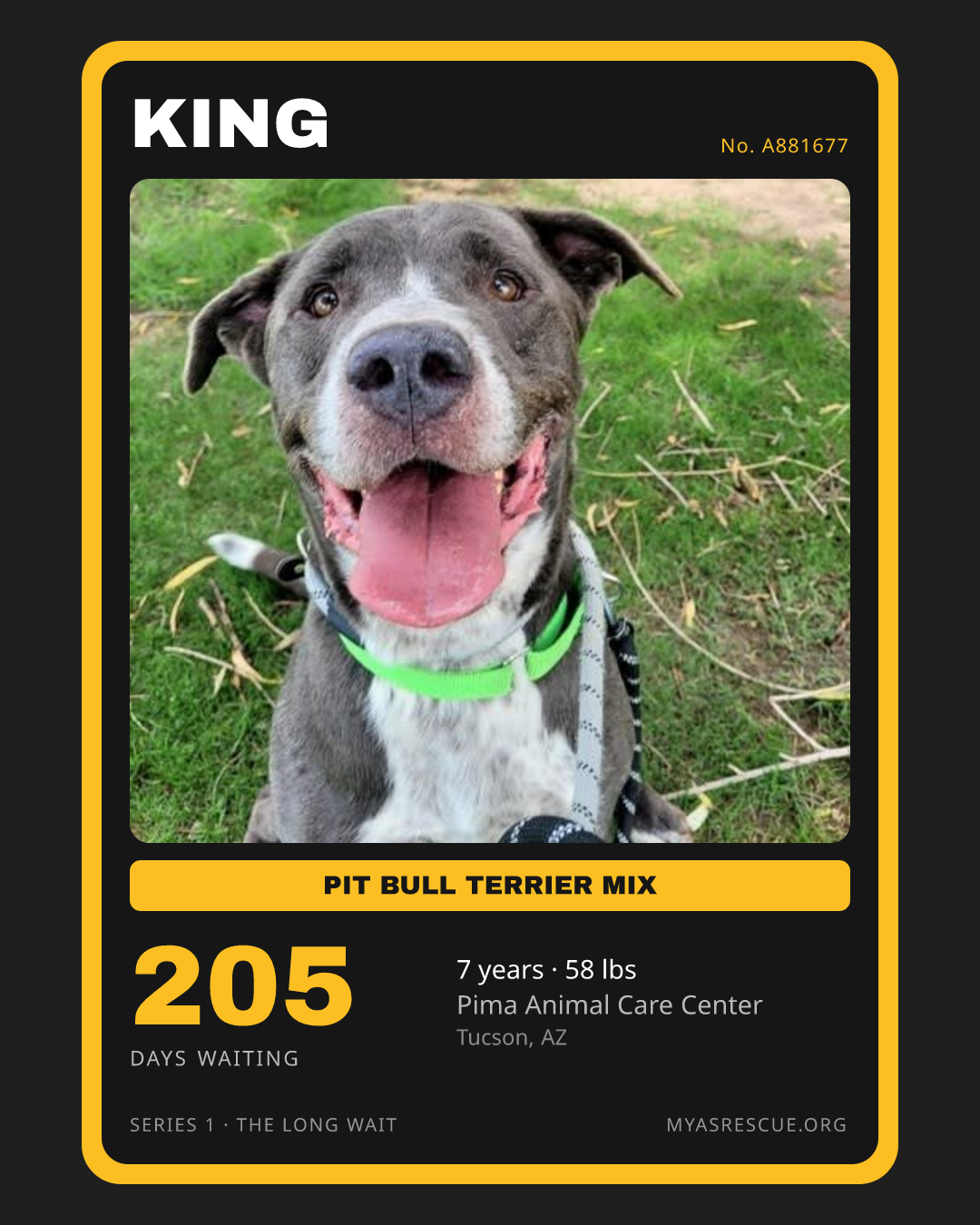 King’s trading card, front
