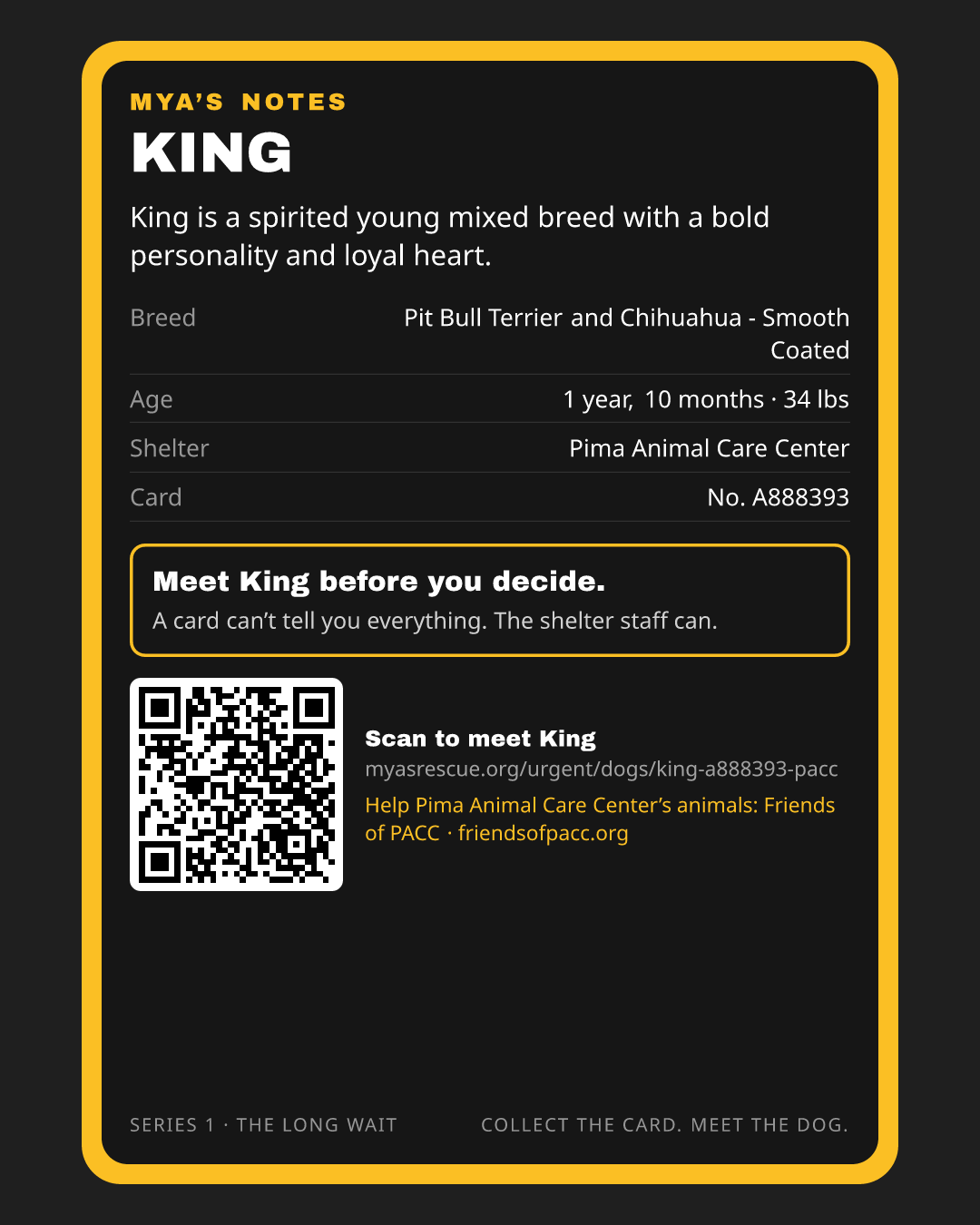 King’s trading card, back