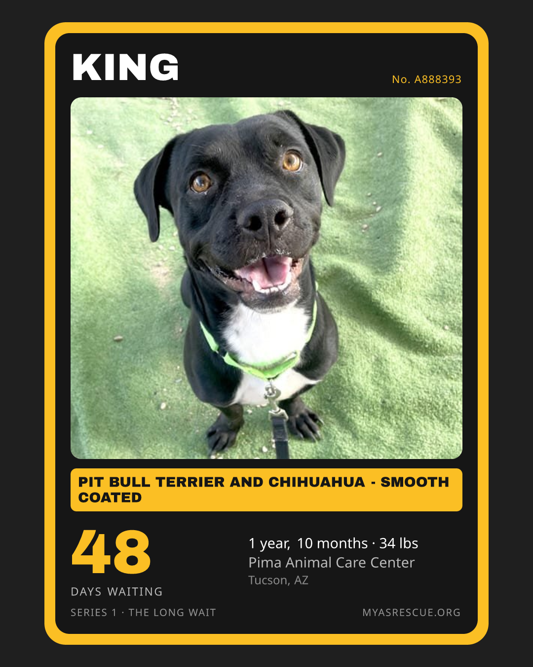 King’s trading card, front