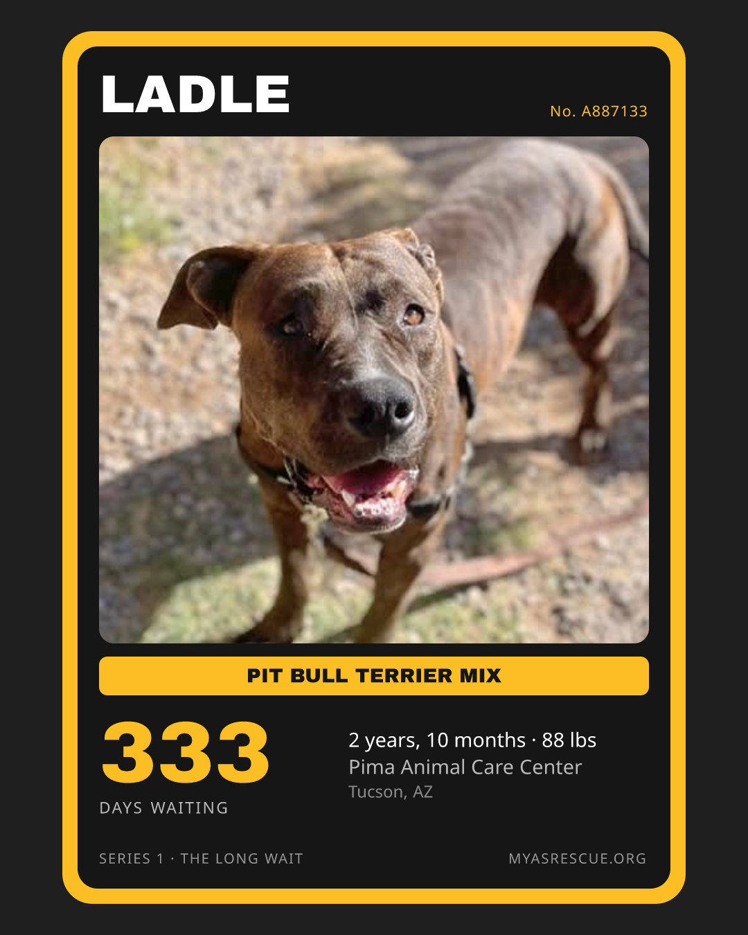 Ladle’s trading card, front