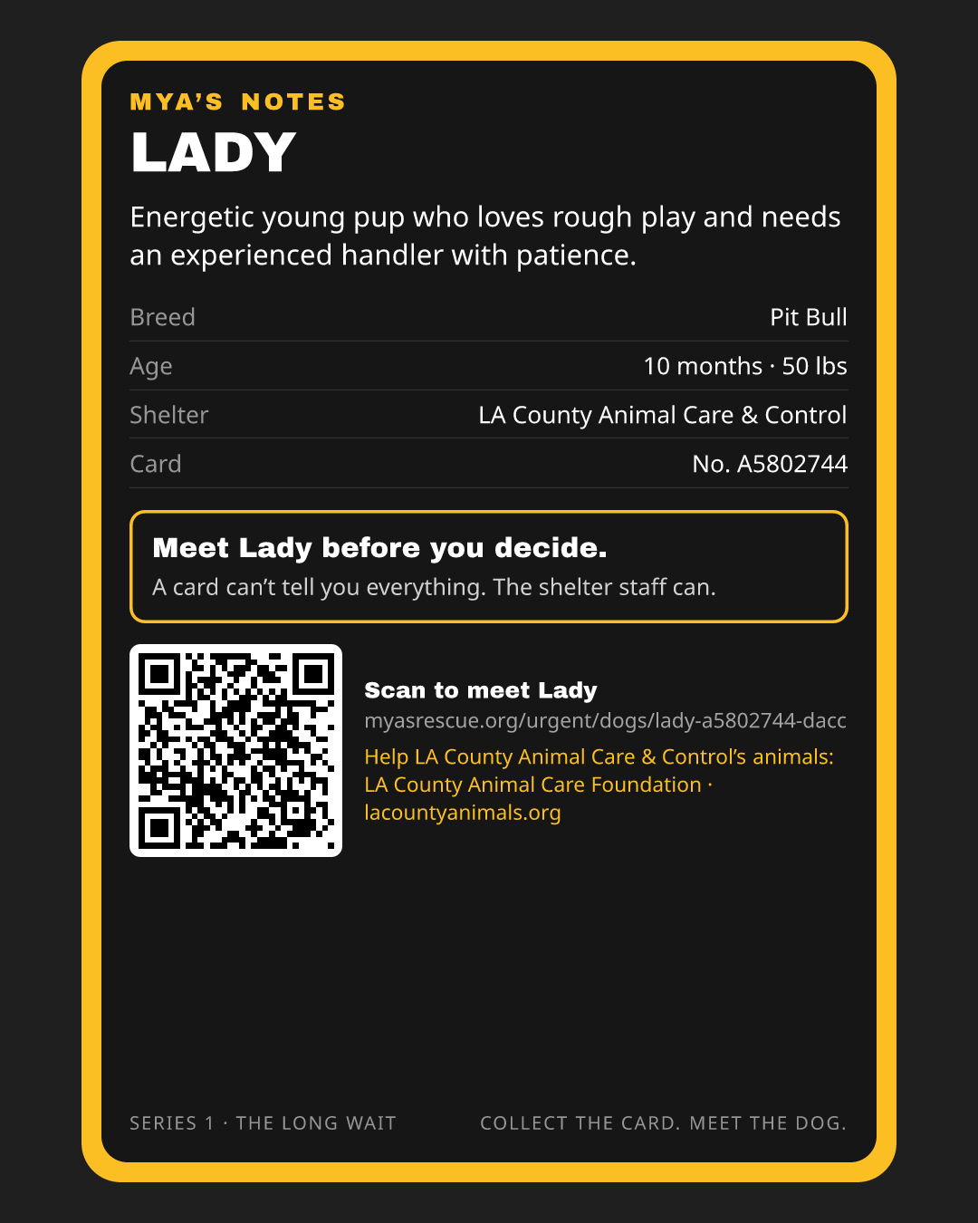 Lady’s trading card, back