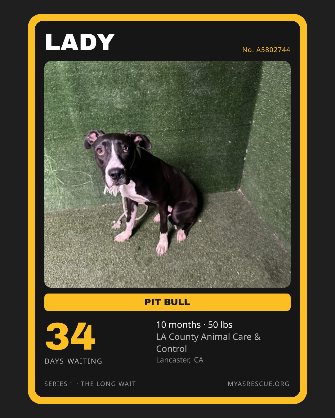 Lady’s trading card, front