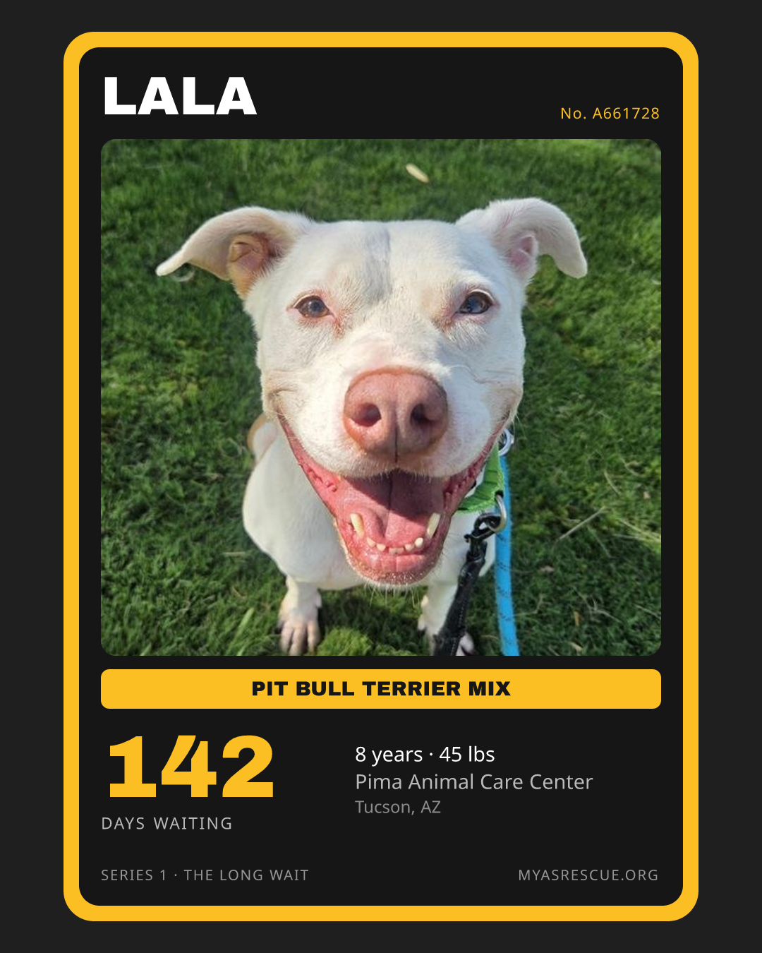 Lala’s trading card, front