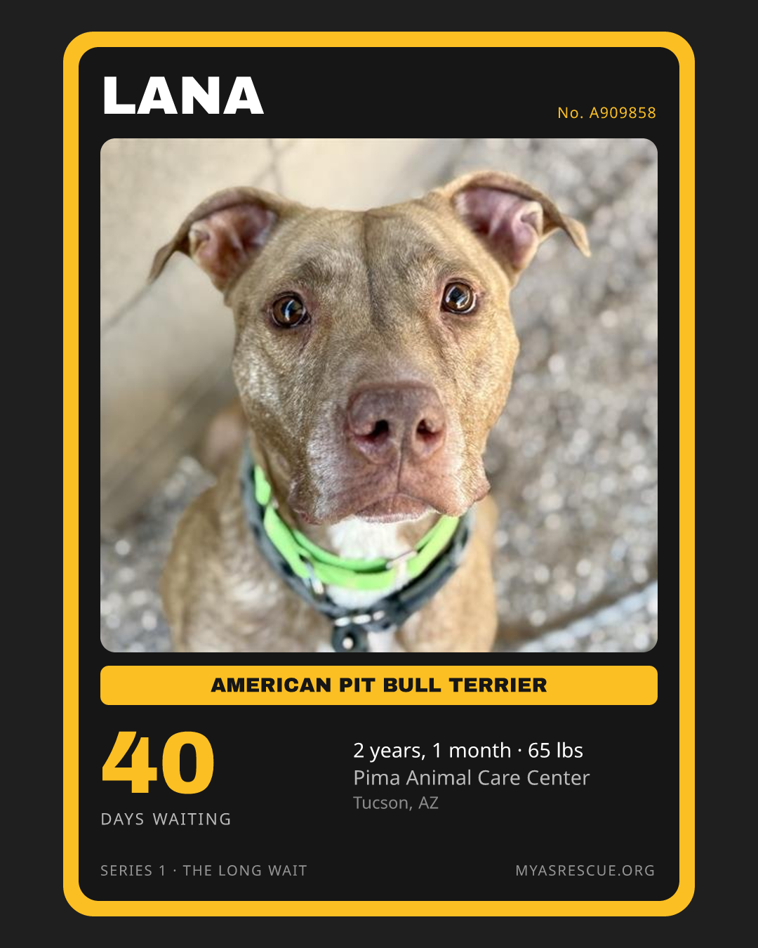 Lana’s trading card, front