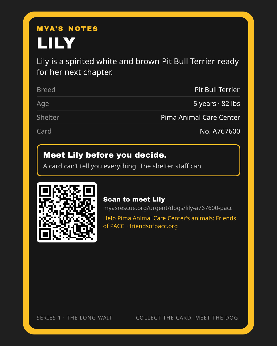 Lily’s trading card, back
