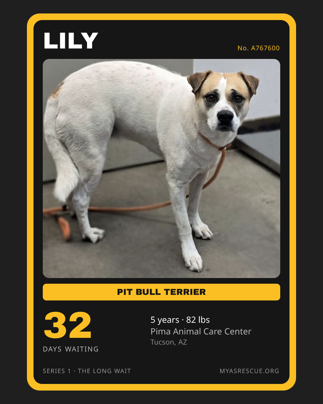 Lily’s trading card, front
