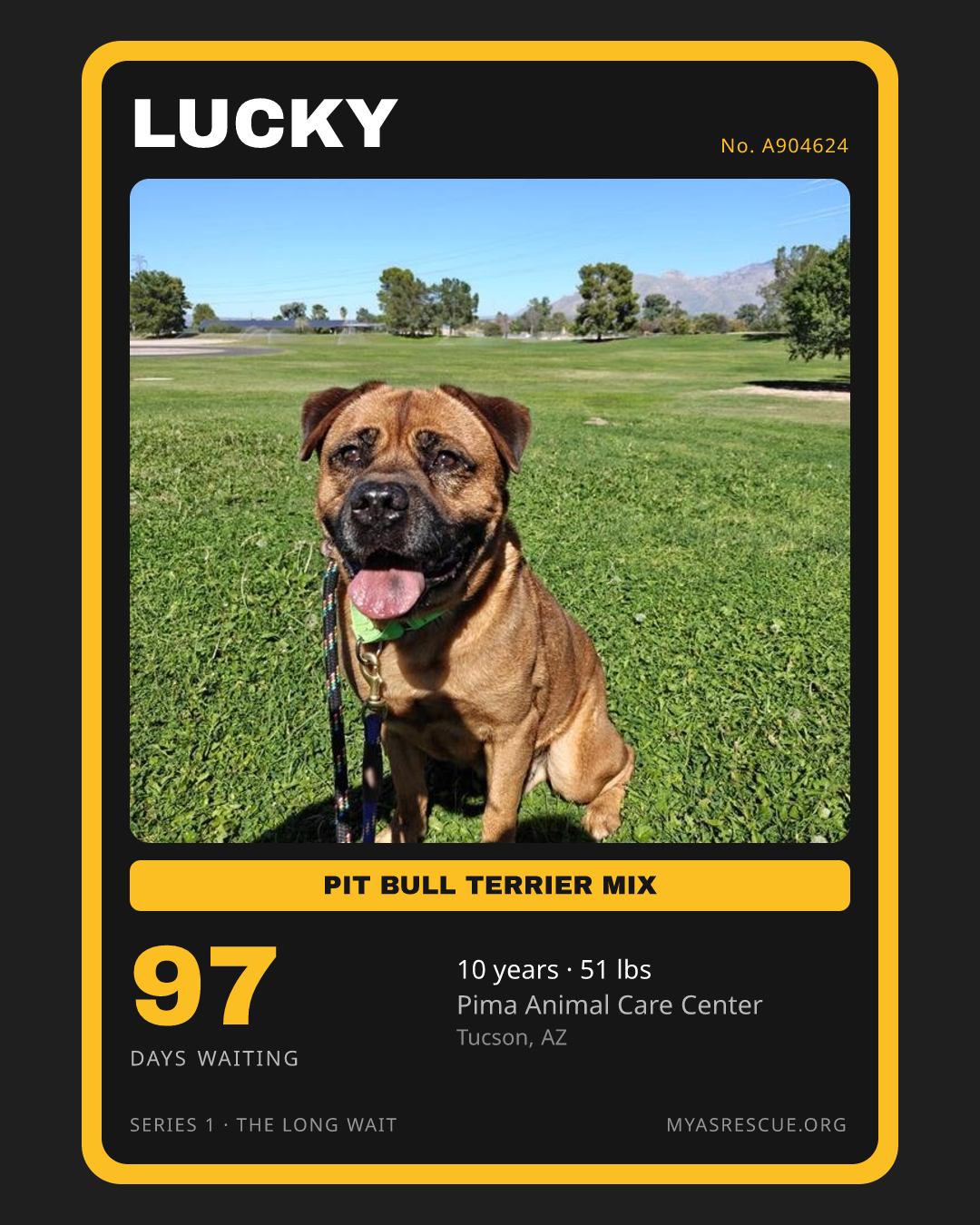 Lucky’s trading card, front