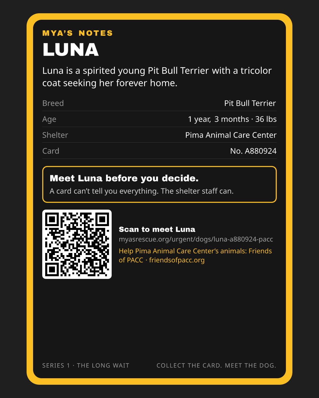 Luna’s trading card, back