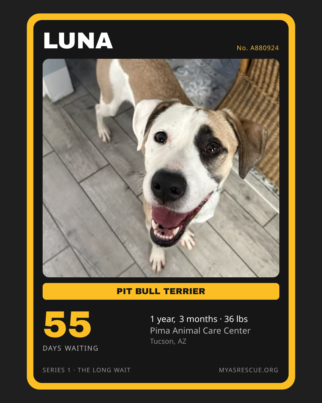 Luna’s trading card, front