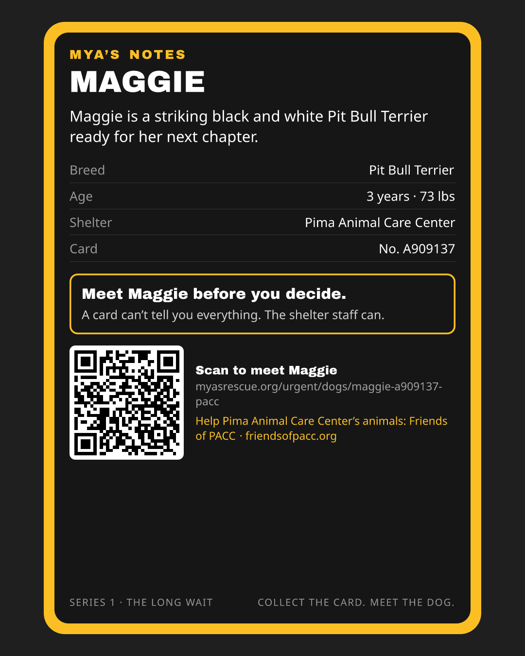 Maggie’s trading card, back