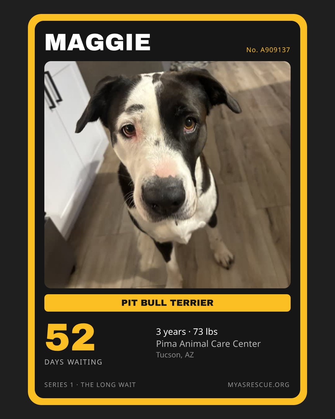 Maggie’s trading card, front