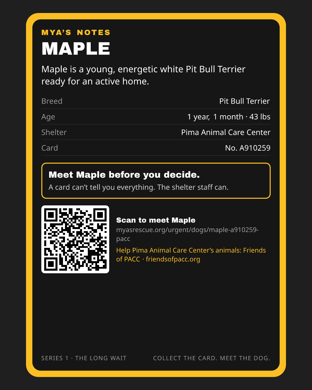 Maple’s trading card, back