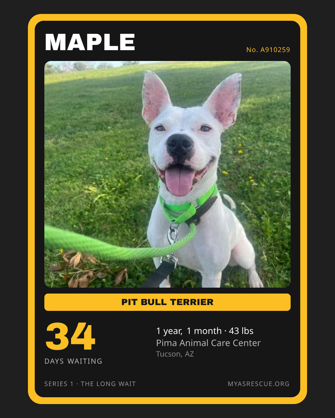 Maple’s trading card, front