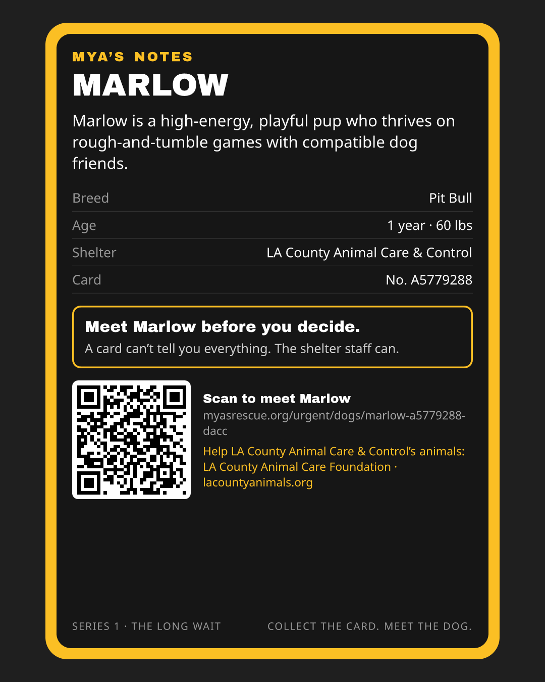 Marlow’s trading card, back