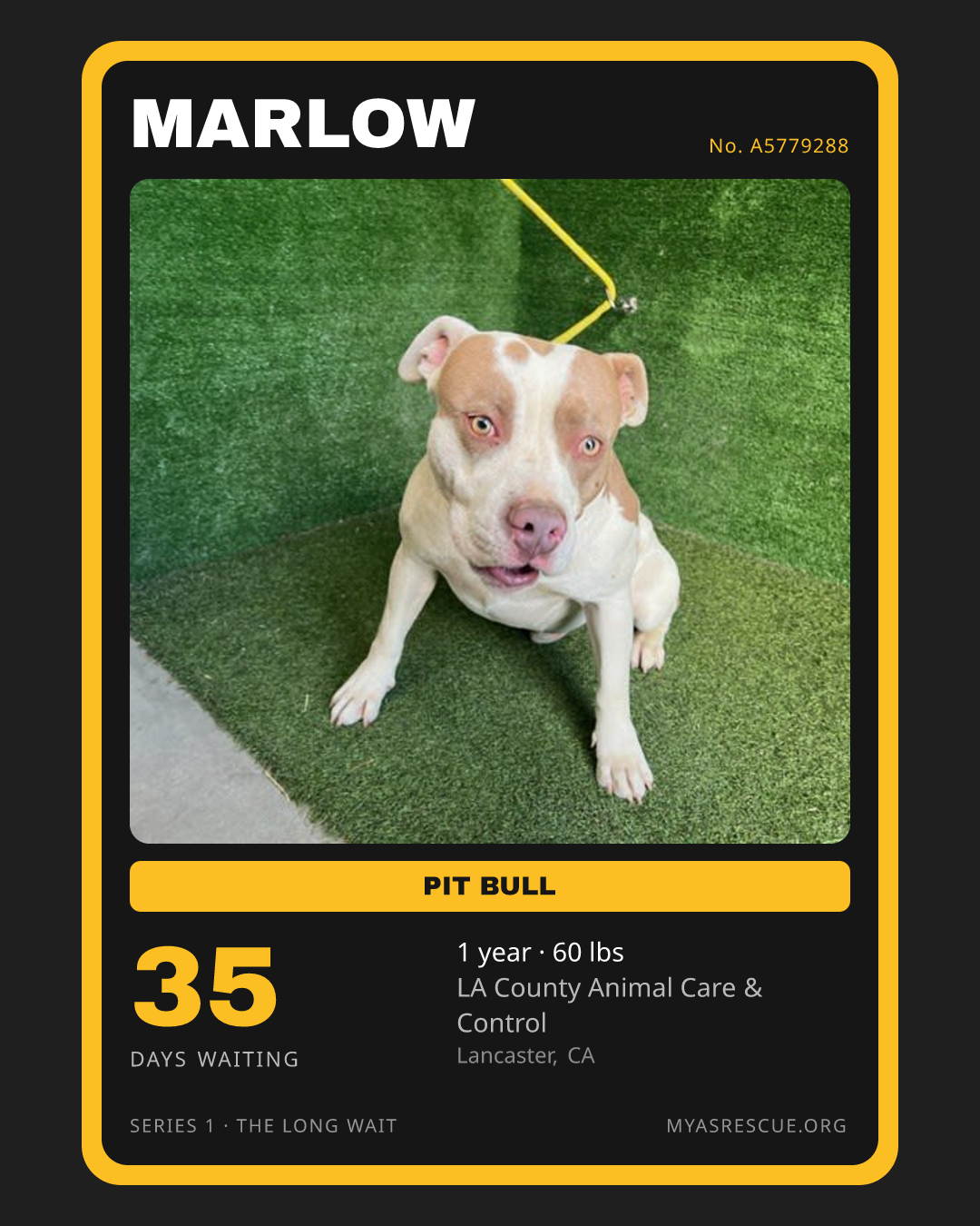 Marlow’s trading card, front