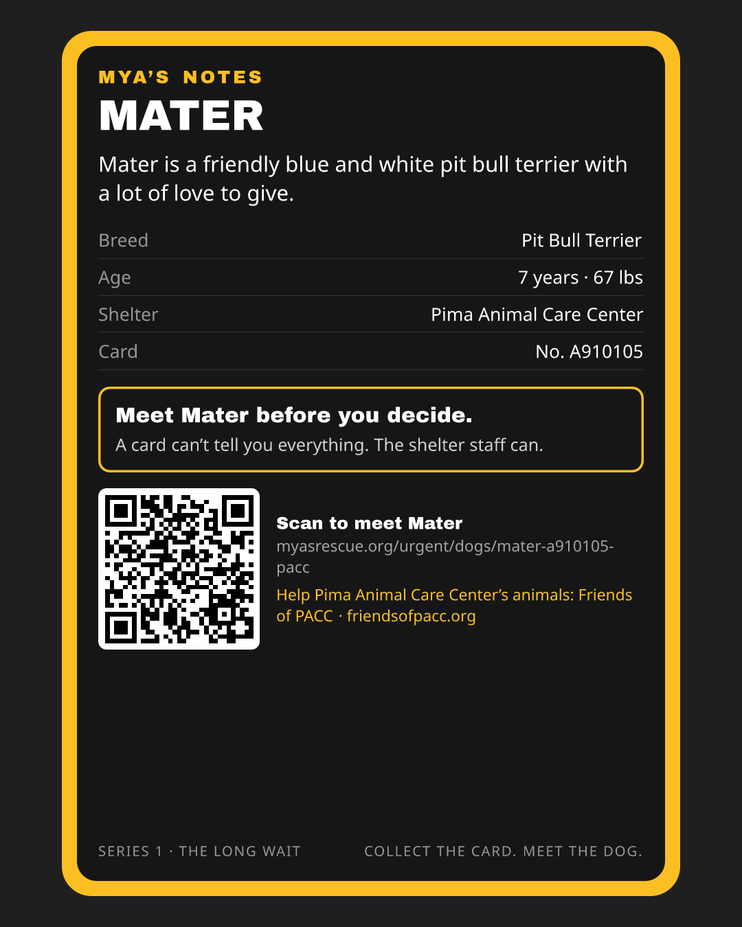 Mater’s trading card, back