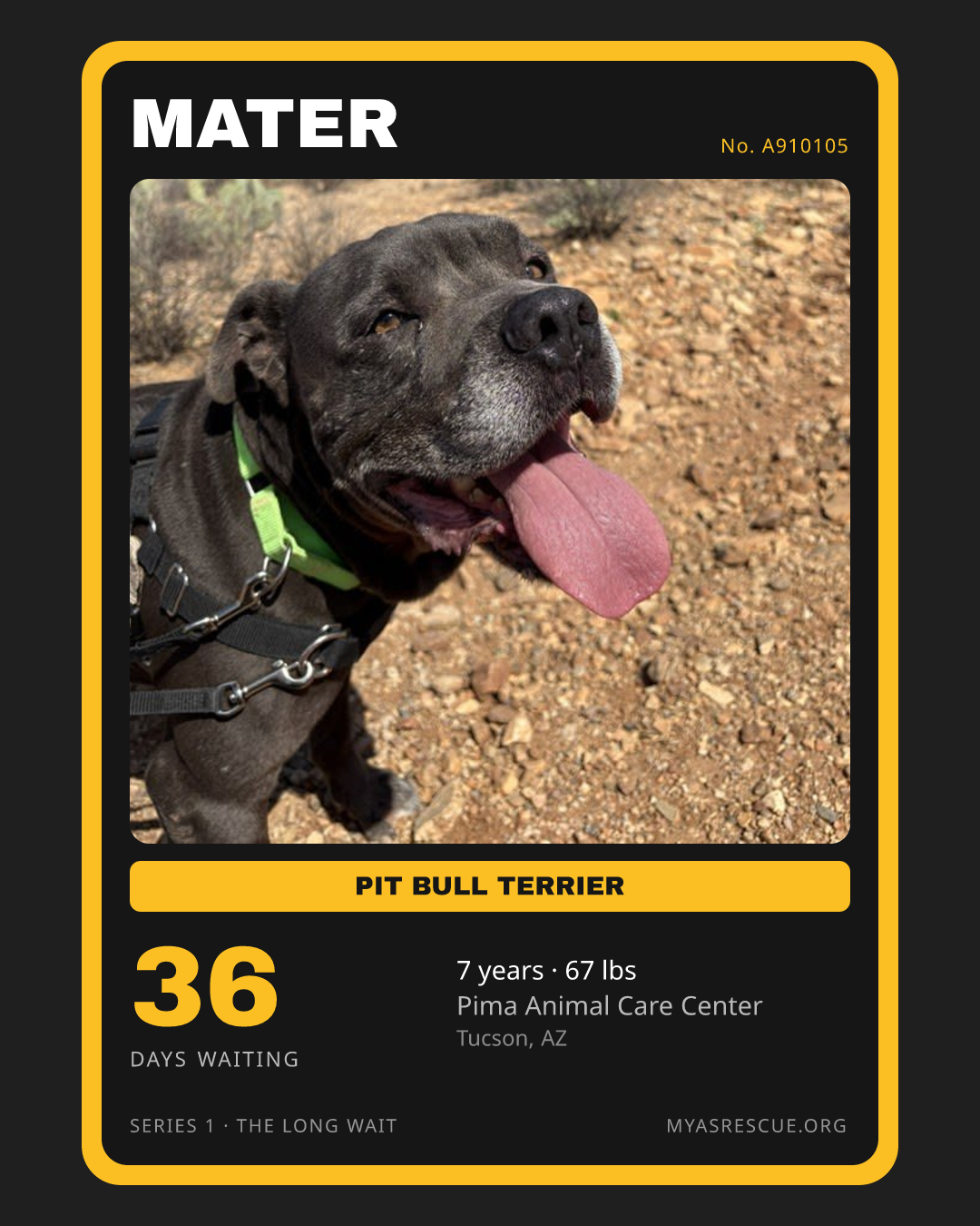 Mater’s trading card, front