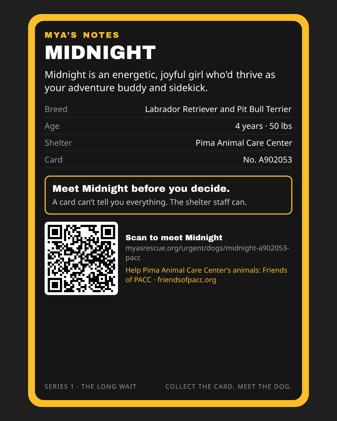 Midnight’s trading card, back