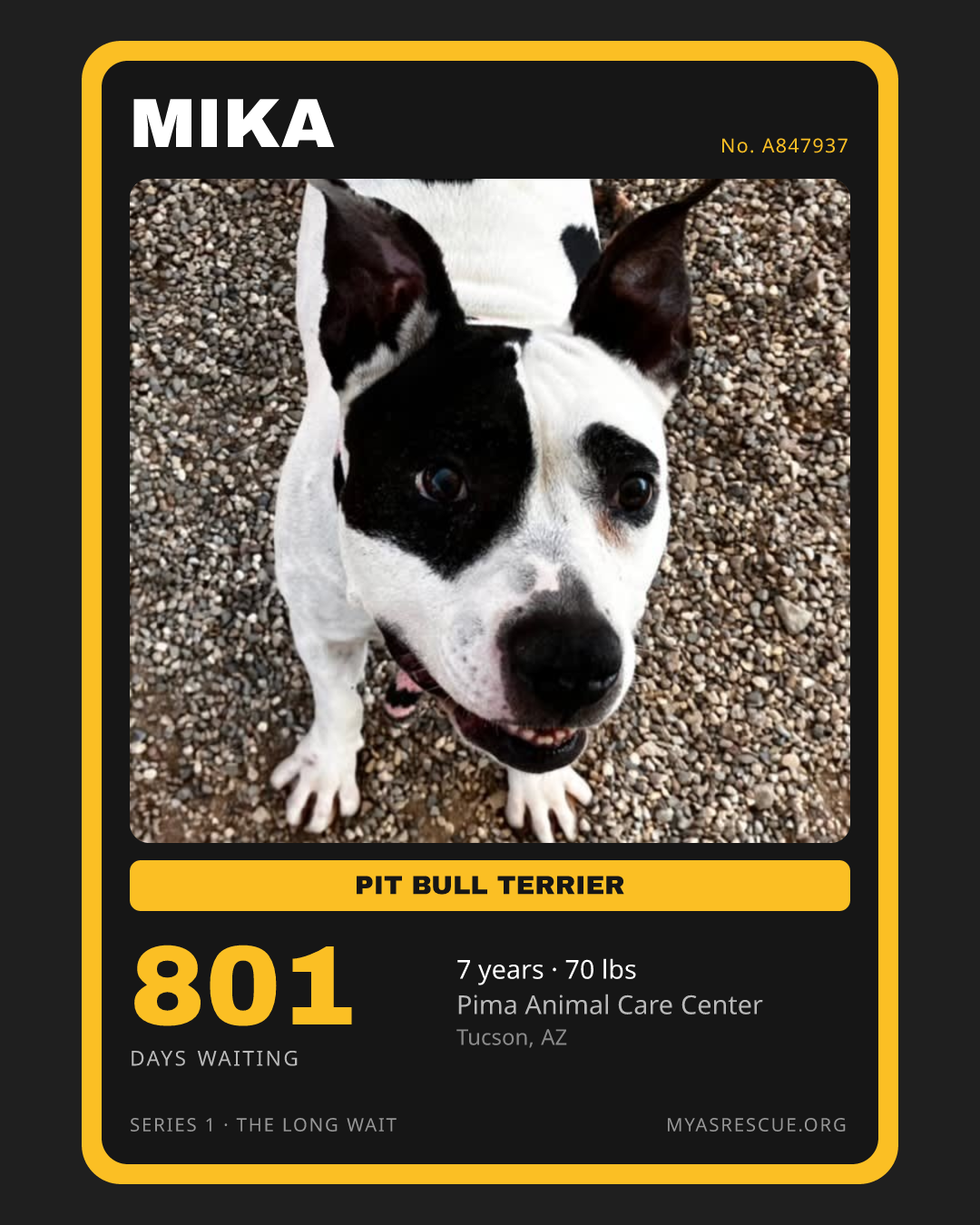 Mika’s trading card, front