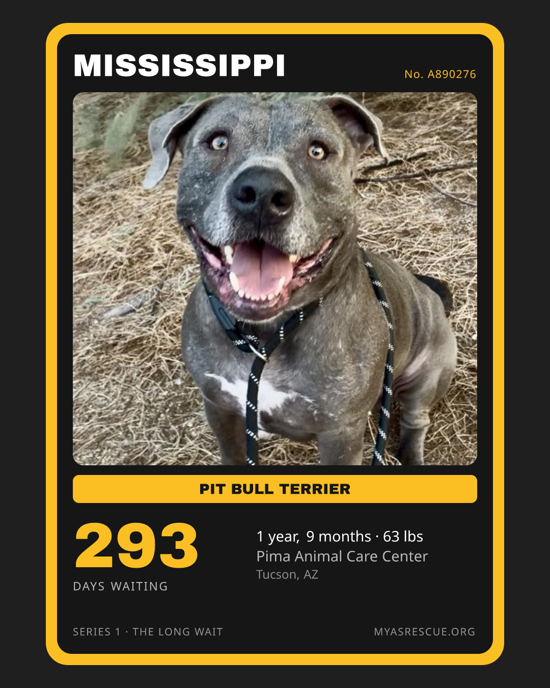 Mississippi’s trading card, front