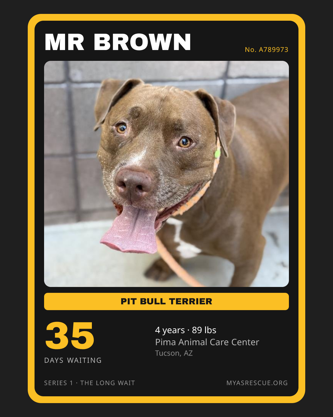 Mr Brown’s trading card, front