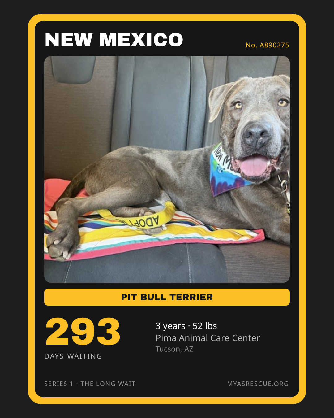 New Mexico’s trading card, front