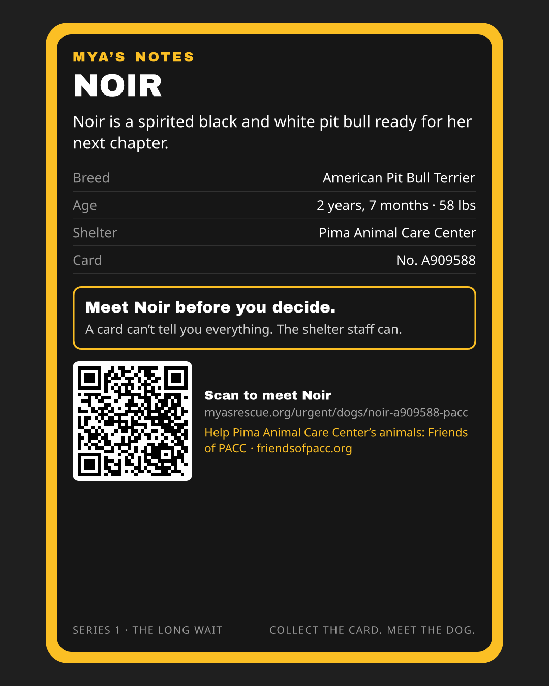 Noir’s trading card, back