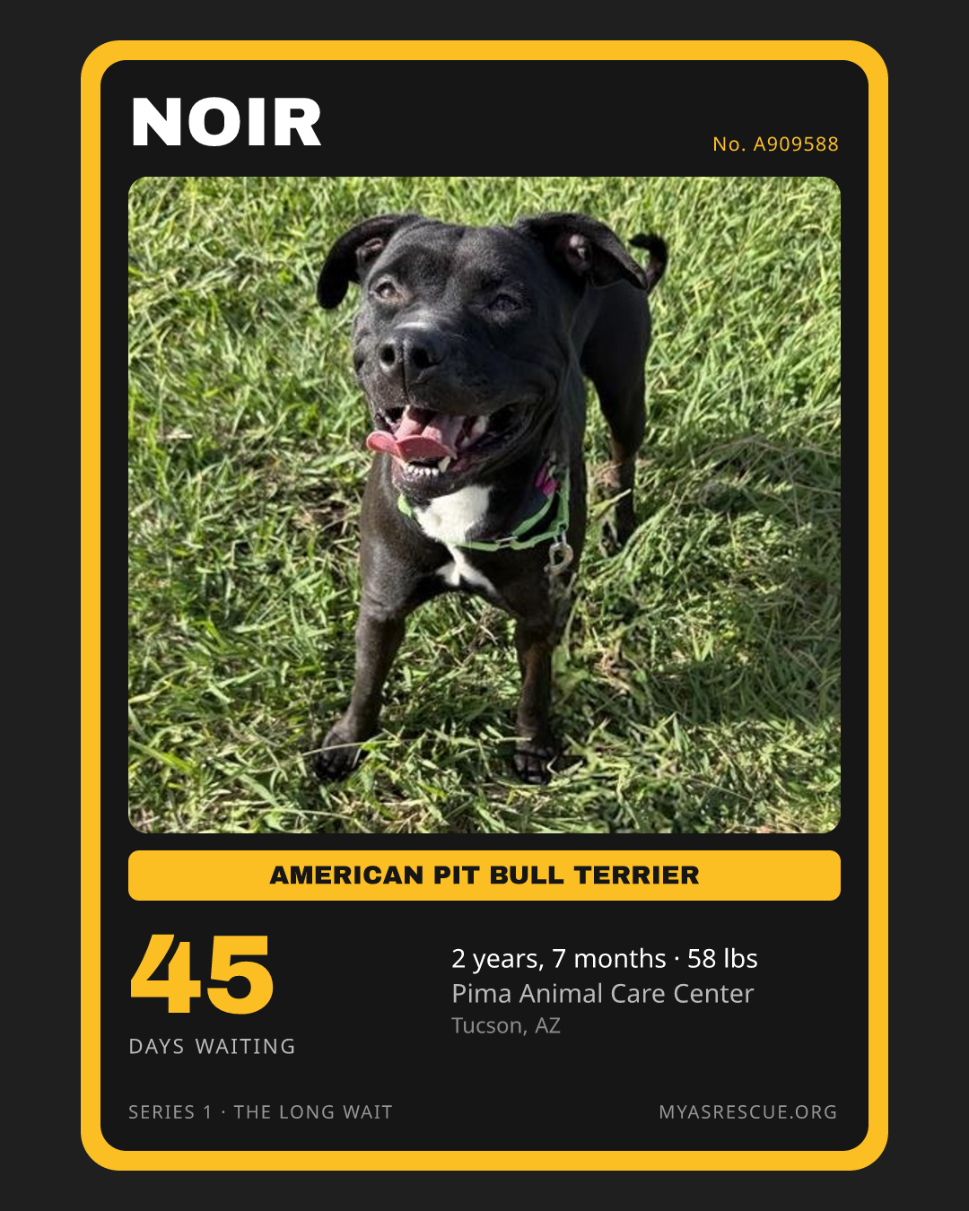 Noir’s trading card, front