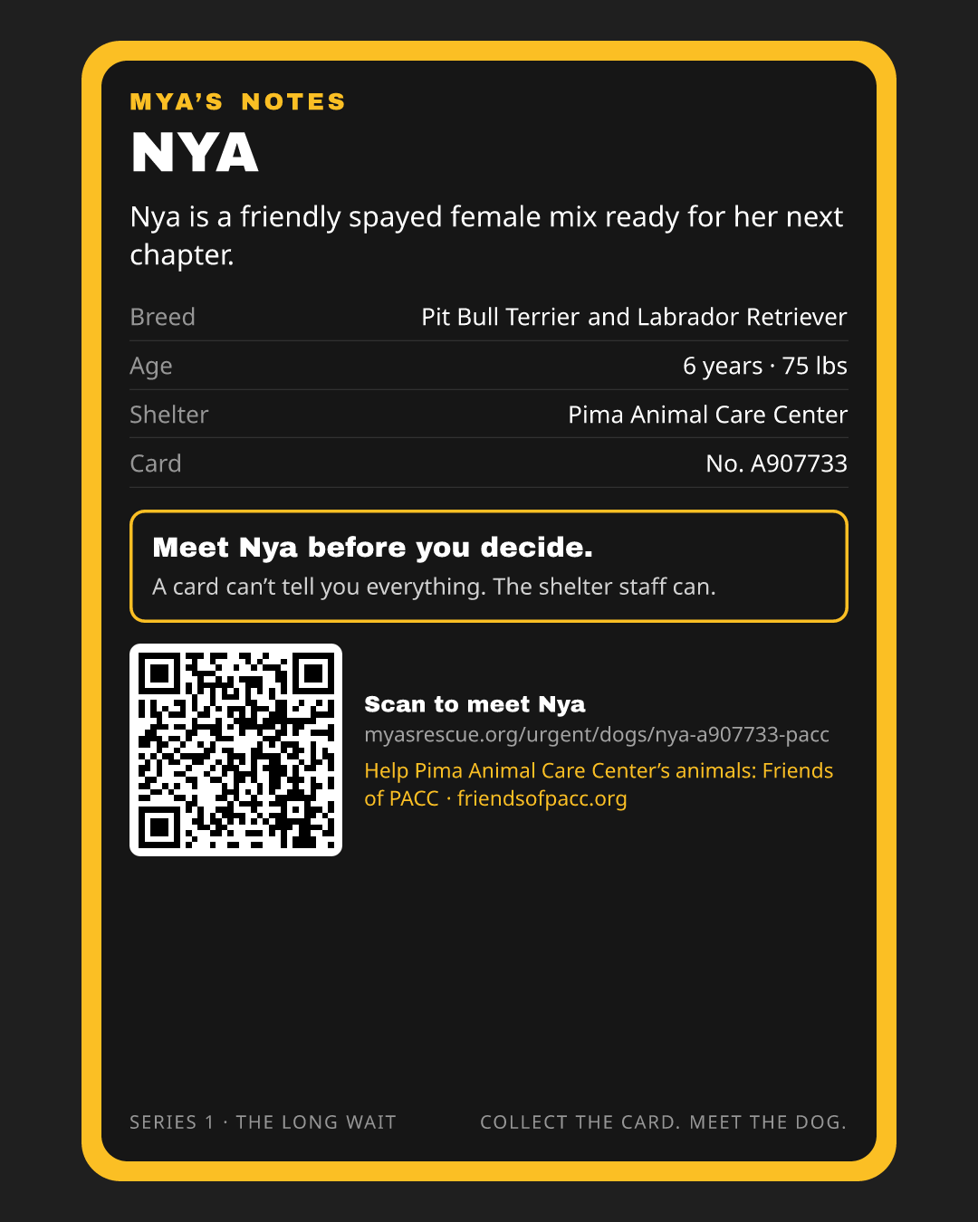 Nya’s trading card, back
