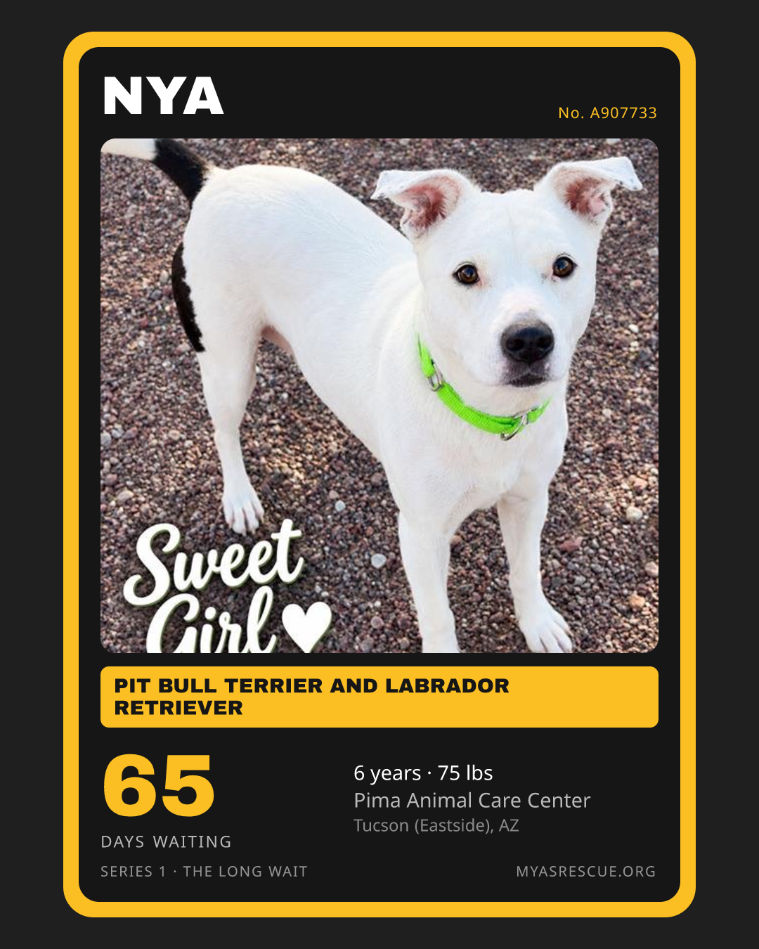 Nya’s trading card, front