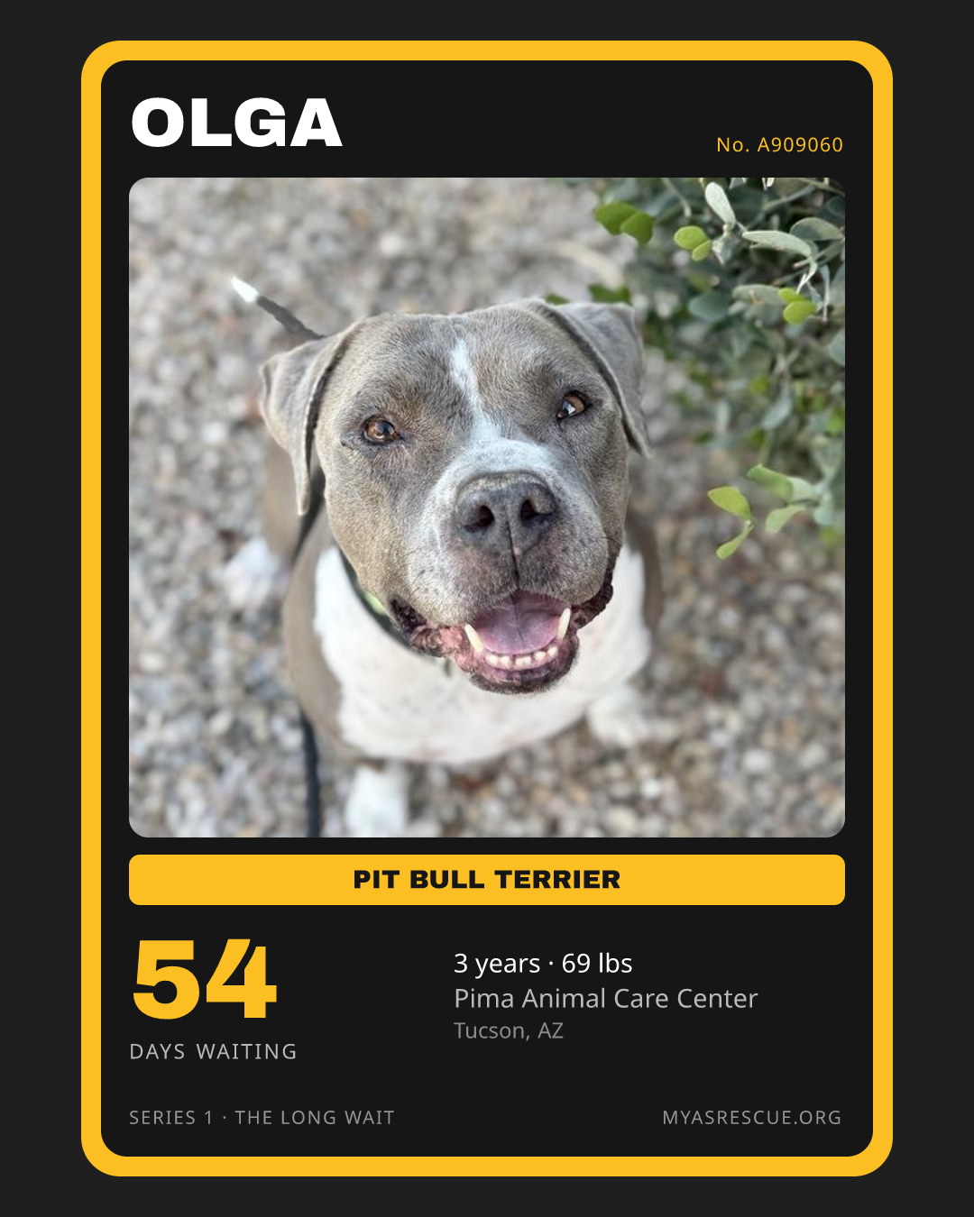 Olga’s trading card, front